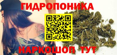 стафф Каменск-Уральский