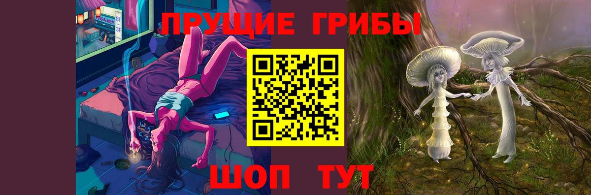 Галлюциногенные грибы Psilocybine cubensis Кыштым